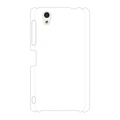 case-0060