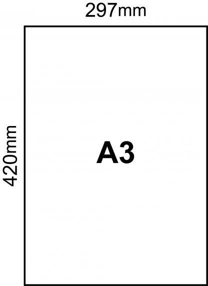 A3